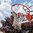 Goaliath Basketballanlage InGround Go 54 TÜV Zertifiziert
